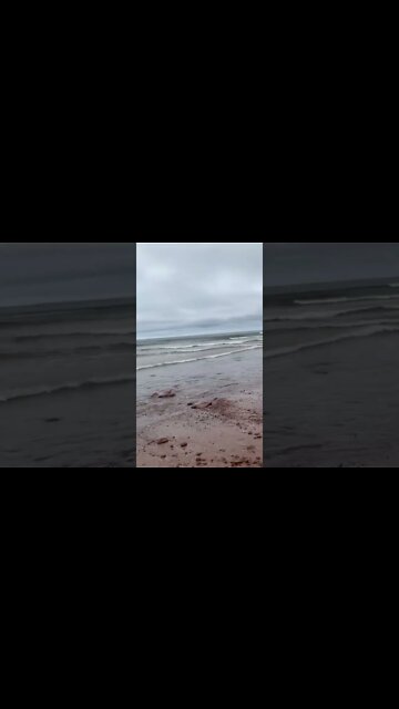 Big waves on a windy day