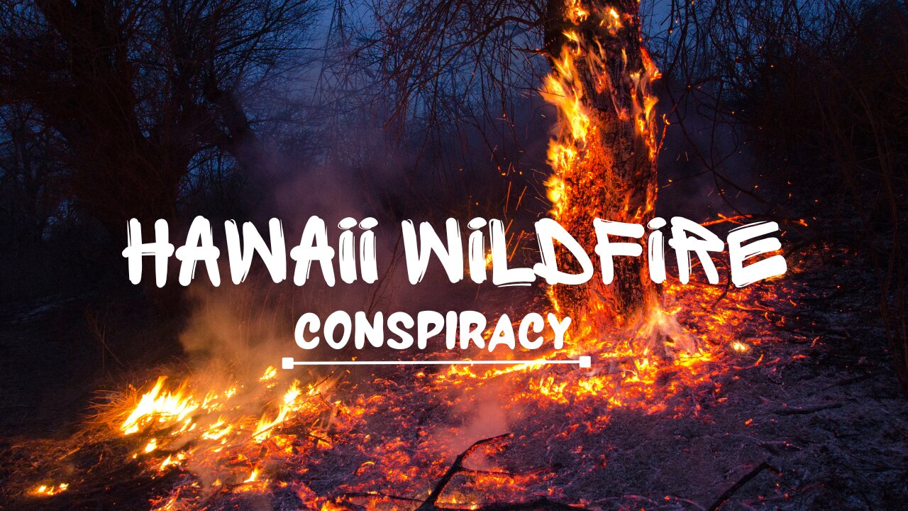 Collective Minds | Hawaii Wildfire Conspiracy