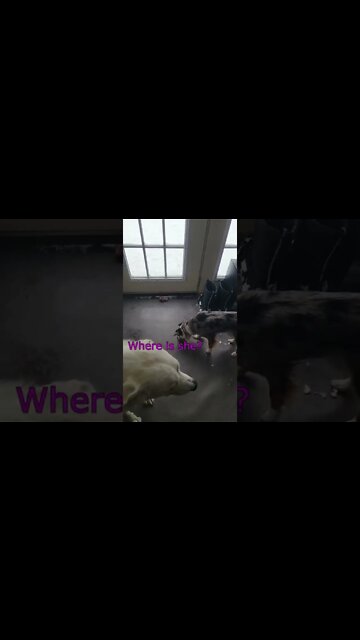 Coco Devours SNOW - Part 3