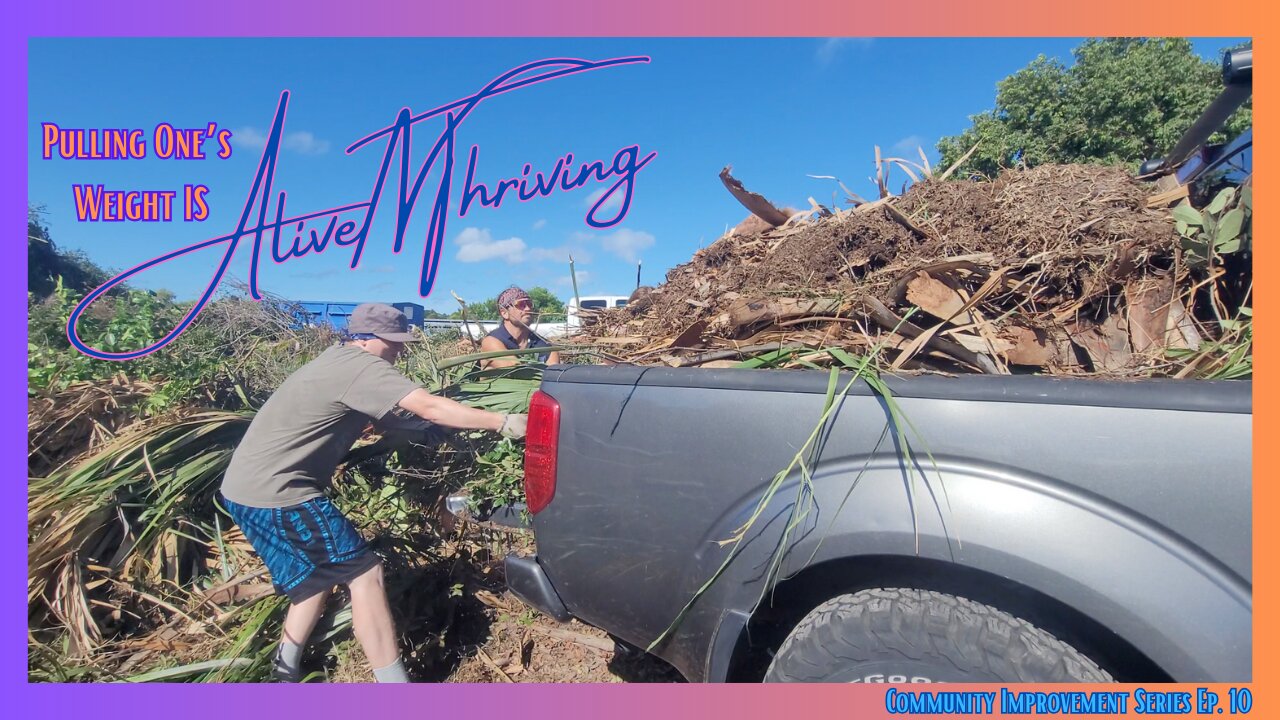 Beautifying Alleys, Making Memories and Building Community