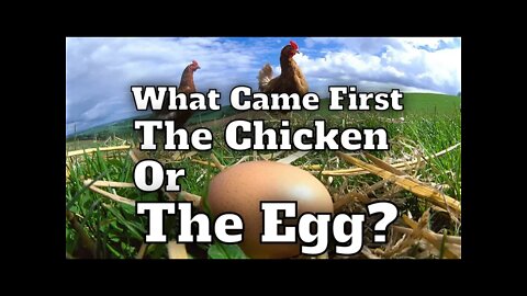 What Came First The Chicken Or The Egg?