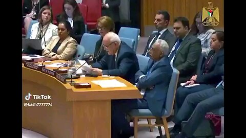 Palestine's UN Ambassador questions if their blood, civilians, & lives R less valuable & protected.⏬