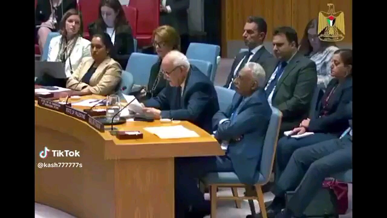 Palestine's UN Ambassador questions if their blood, civilians, & lives R less valuable & protected.⏬