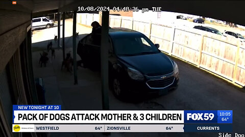 Mom And Her 3 Kids Are Attacked By A Pack Of Wild Dogs Outside A Daycare