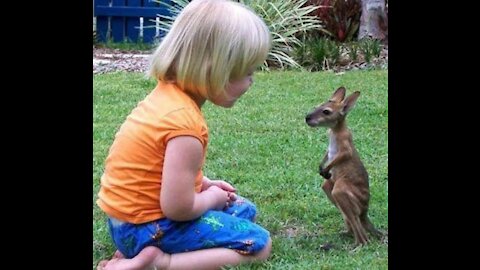 起來，不願做奴隸的澳洲人民 Aussie