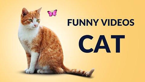 Funniest Animals 2023 😂 Funny Dogs and Cats Videos 😺🐶