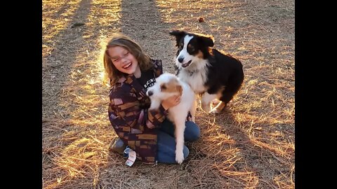 Ares Jack Russell's Deep CPR to Kid