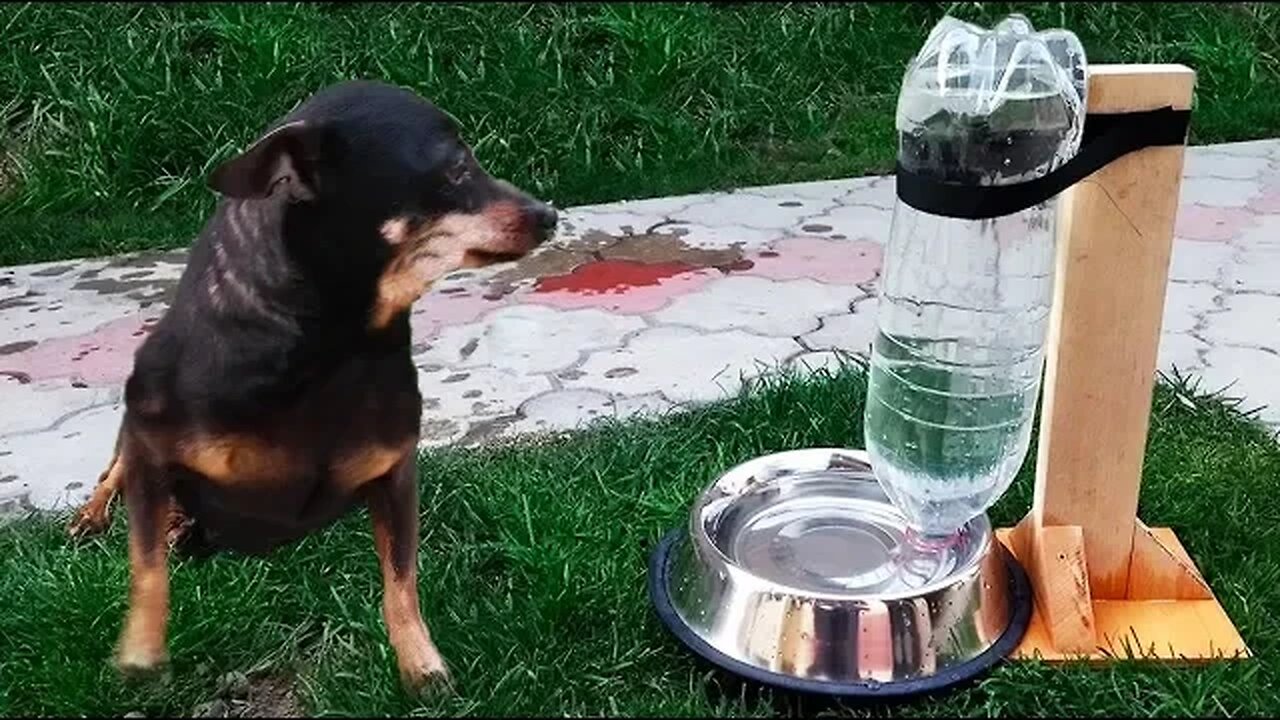 DIY Puppy Dog Water Dispenser at Home