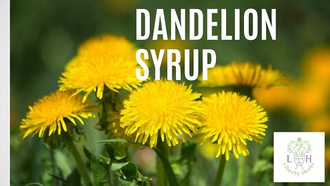 Dandelion Syrup in 10 easy steps