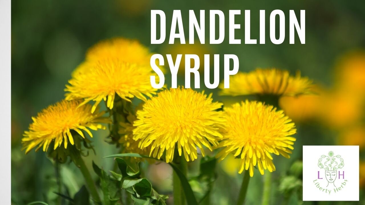 Dandelion Syrup in 10 easy steps