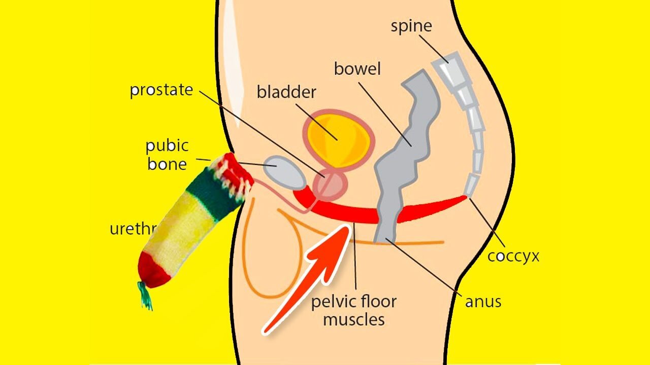 ➜ Strengthen Your PELVIC FLOOR ➜ Exercises For MEN ONLY!