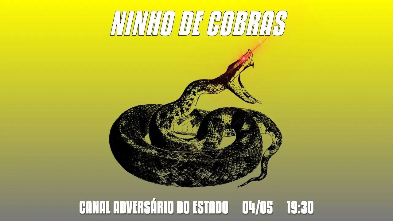 Ninho de Cobras - S1E2