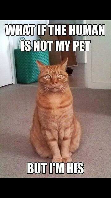 What's for dinner? 🍽