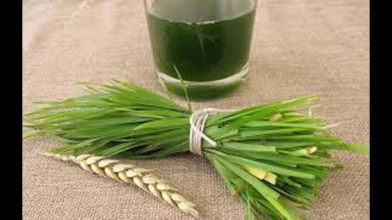 Weizengrassaft als Therapie -Wigmore/Clement/Wenzel/Lipp
