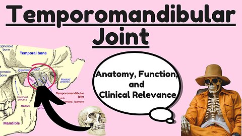 Anatomy of the Temporomandibular Joint (TMJ): Structure, Function, and Clinical Relevance