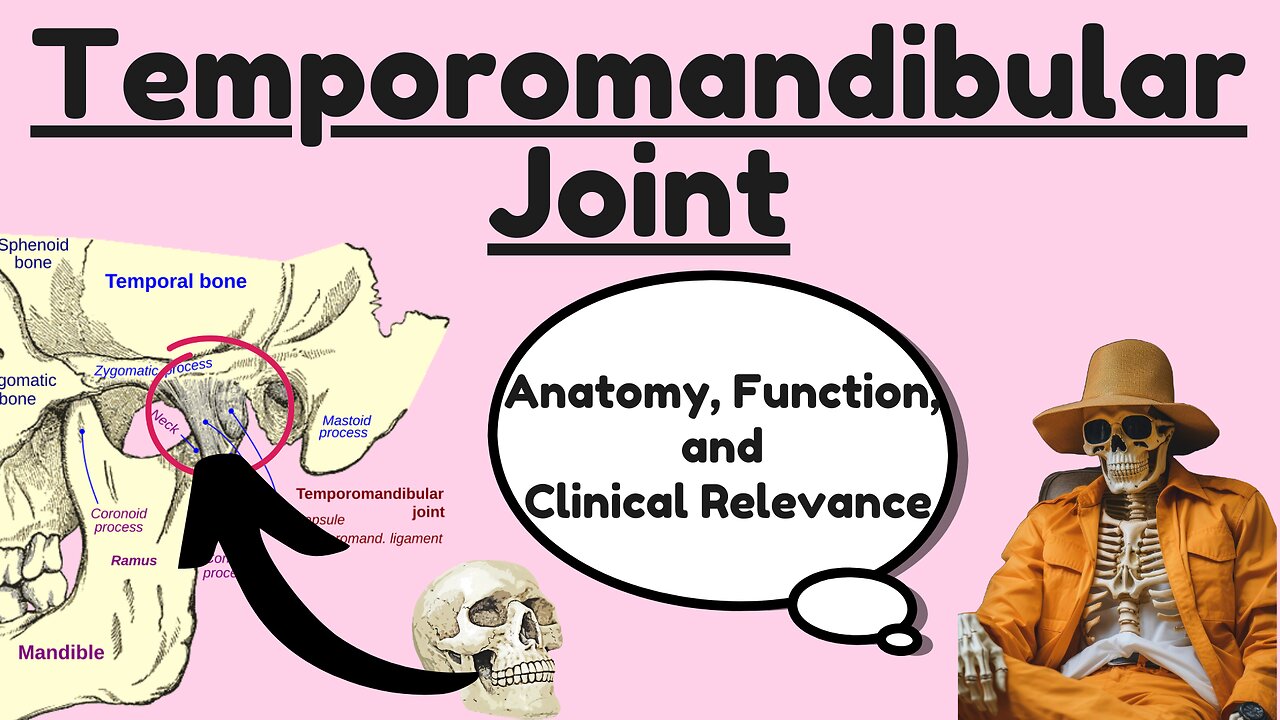 Anatomy of the Temporomandibular Joint (TMJ): Structure, Function, and Clinical Relevance