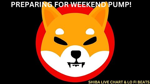 SHIBA INU LIVE - ITS PRIMED & READY