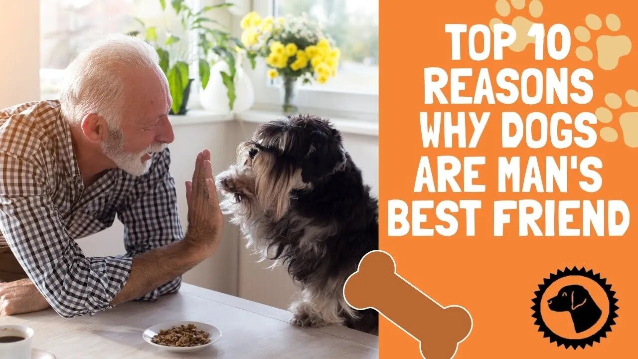 Top 10 Reasons why Dogs are Man's Best Friend | DOG BLOG 🐶 #BrooklynsCorner