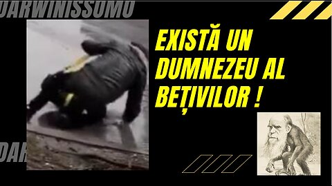 13TV: Alcool, shaorma, Mercedes | DARWINISSIMO