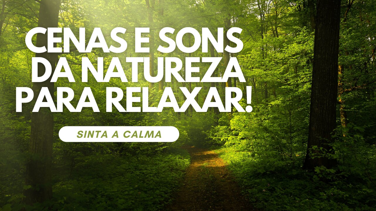 Cenas e sons da Natureza para acalmar a alma