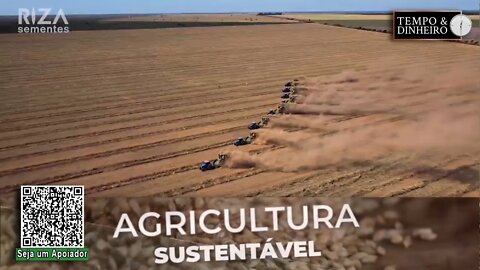 Com foco na Agropecuária Sustentável,Riza Sementes mostra sua força na produção de sementes de capim