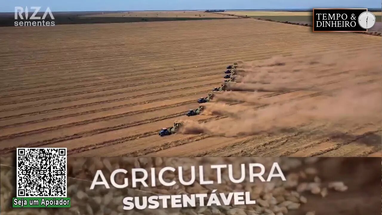 Com foco na Agropecuária Sustentável,Riza Sementes mostra sua força na produção de sementes de capim