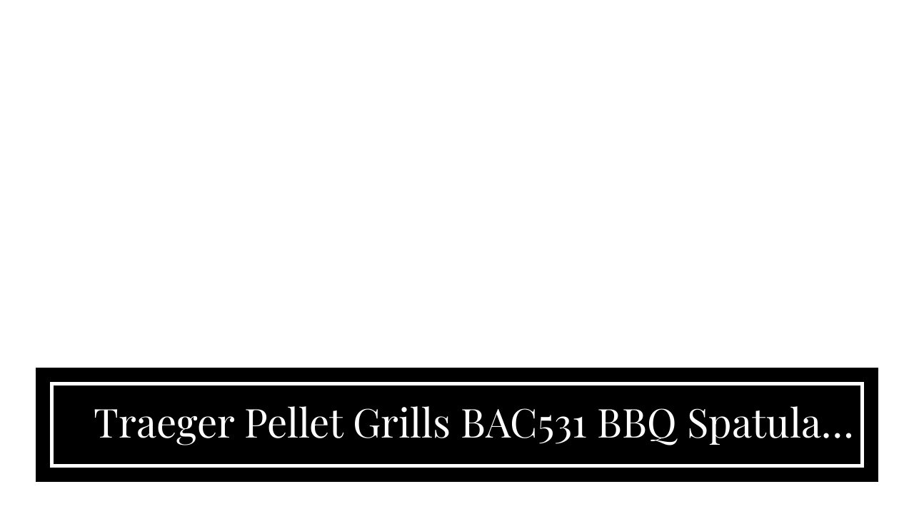 Traeger Pellet Grills BAC531 BBQ Spatula Accessory
