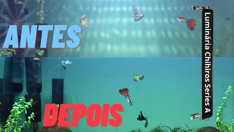 🔴 Luminária Chihiros Series A: A Luz Que o Meu Aquário Plantado de Guppy Estava Precisando!