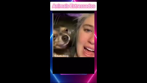 Animais Estressados