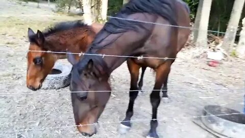 20180823_163435.mp4