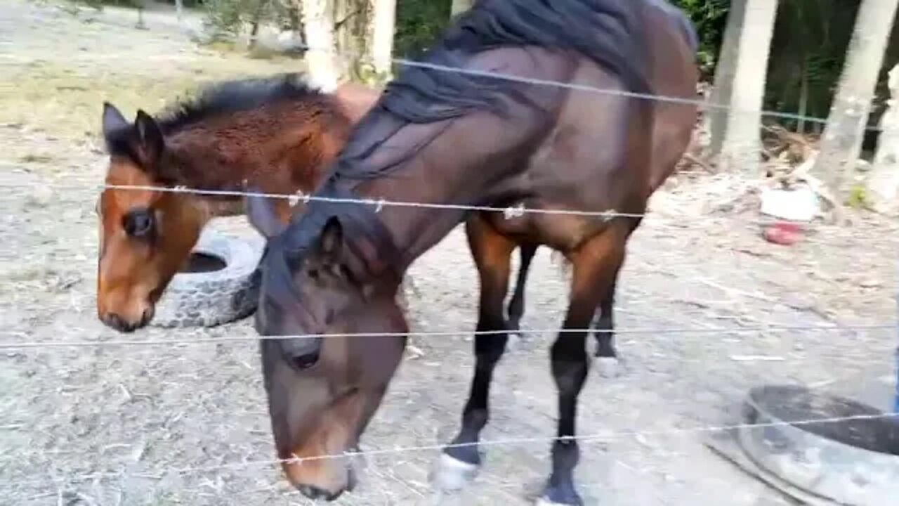 20180823_163435.mp4