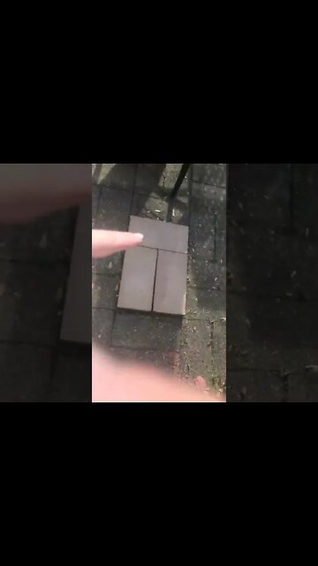 Paver Project, Should I vlog it? #shorts