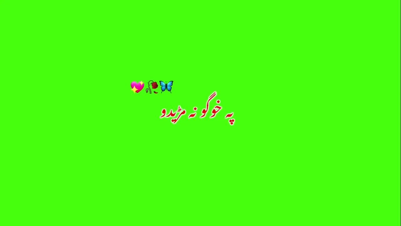 Pashto Green screen song 🎵#tiktokviral