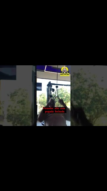 5 Exercícios para você esmagar os músculos das suas costas #shorts