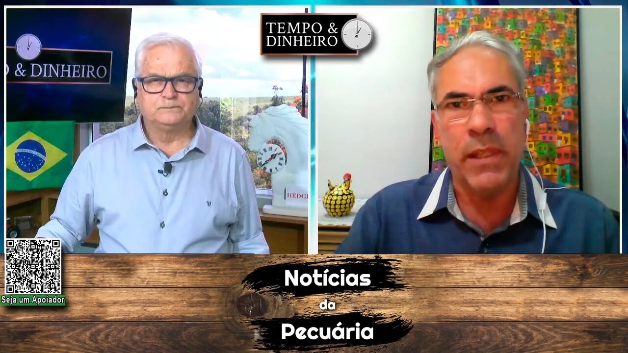 Suinocultores vivem situação dramática com queda nos preços
