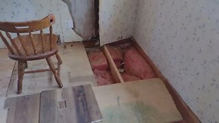 Mobile Home Renovation updates. Day 4