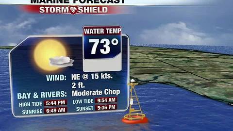 More Sunshine Through The Weekend 11-17