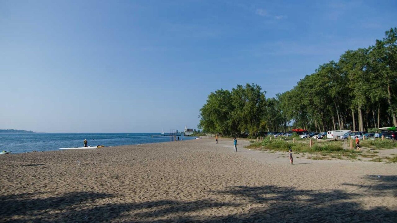 A Chainsaw Fight Reportedly Broke Out On Cherry Beach Over The Weekend