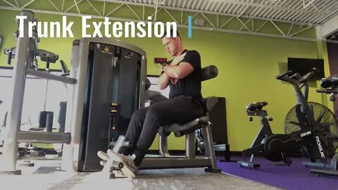 Full Workout | High Intensity Training | Isometrics