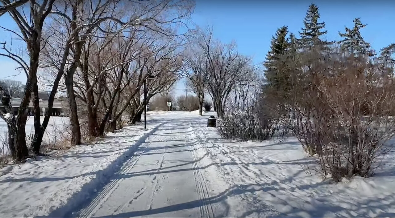 Walking in Regina, February 13, 2024: Along Wascana Creek in fresh snow