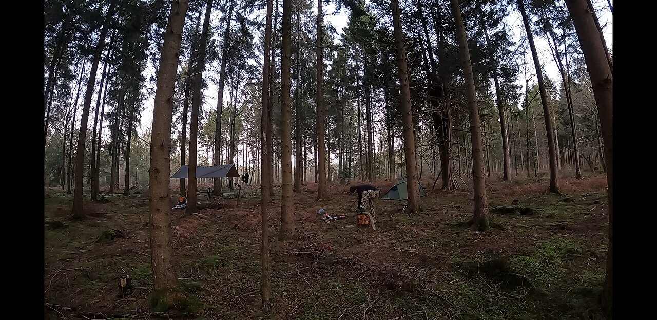 Sawing firewood. Speedlapse GoPro. 20th Jane 2023