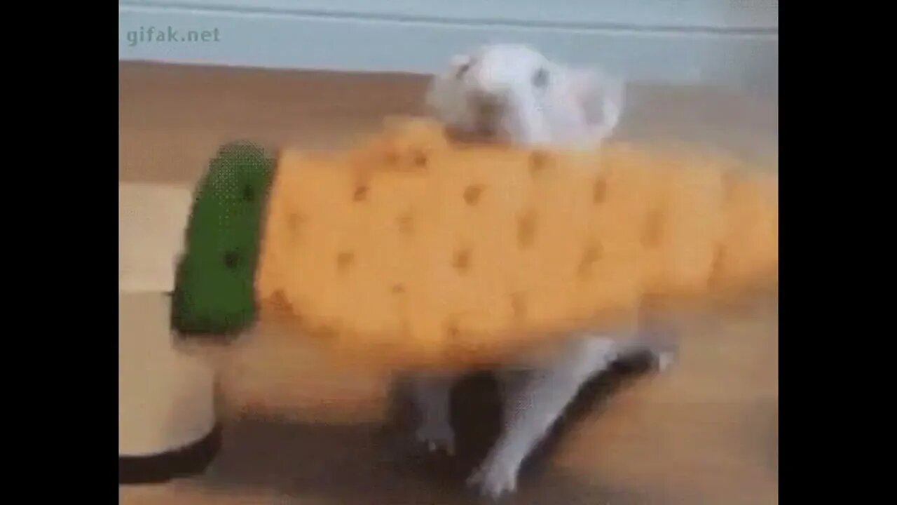 Yoink!