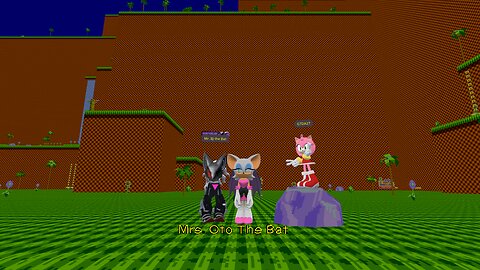 Infinite Meets Amy & Rouge