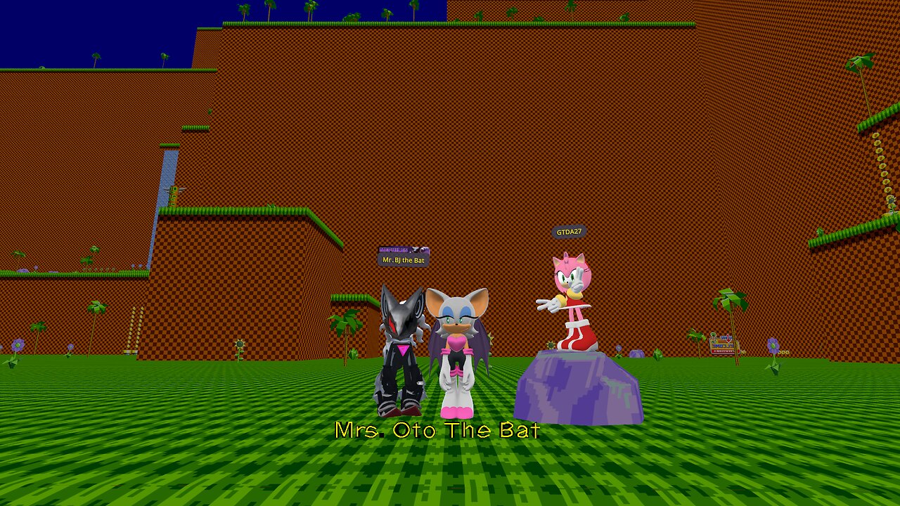 Infinite Meets Amy & Rouge