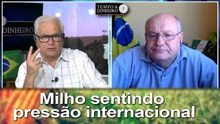 Milho sentindo pressão internacional