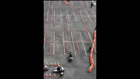 funny videos