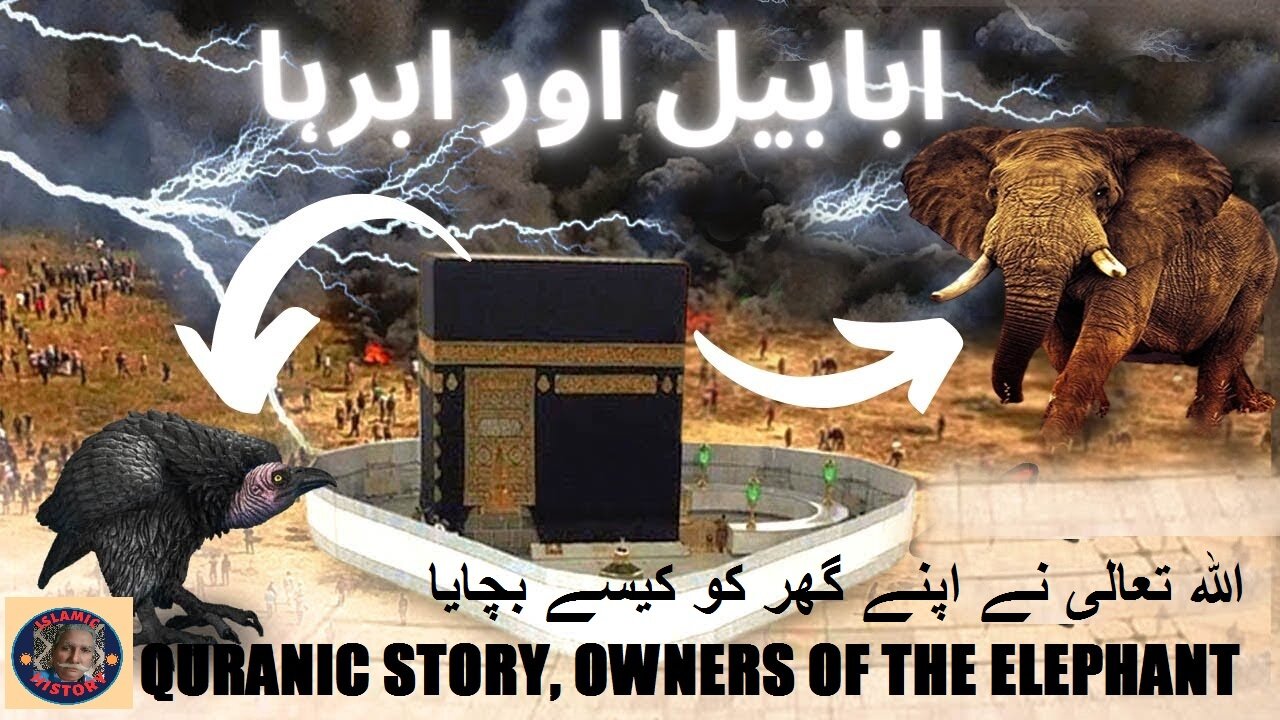 Owners Of The Elephant | اللہ تعالی نے اپنے گھر کو کیسے بچایا | @islamichistory813