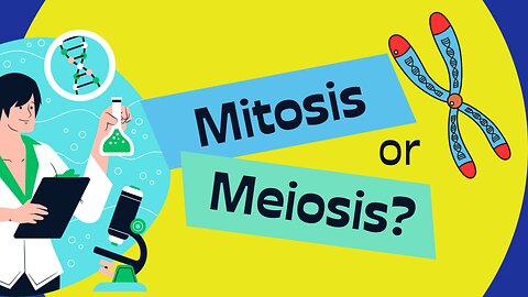 Mitosis & Meiosis 🧬#cellbiology #kidslearning #kidsvideo #aiartcommunity #science #sciencefacts