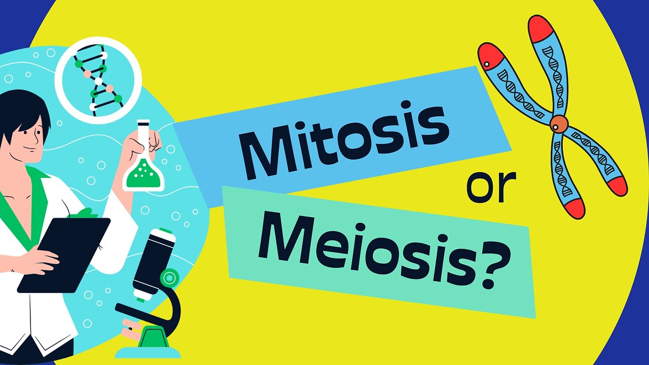 Mitosis & Meiosis 🧬#cellbiology #kidslearning #kidsvideo #aiartcommunity #science #sciencefacts