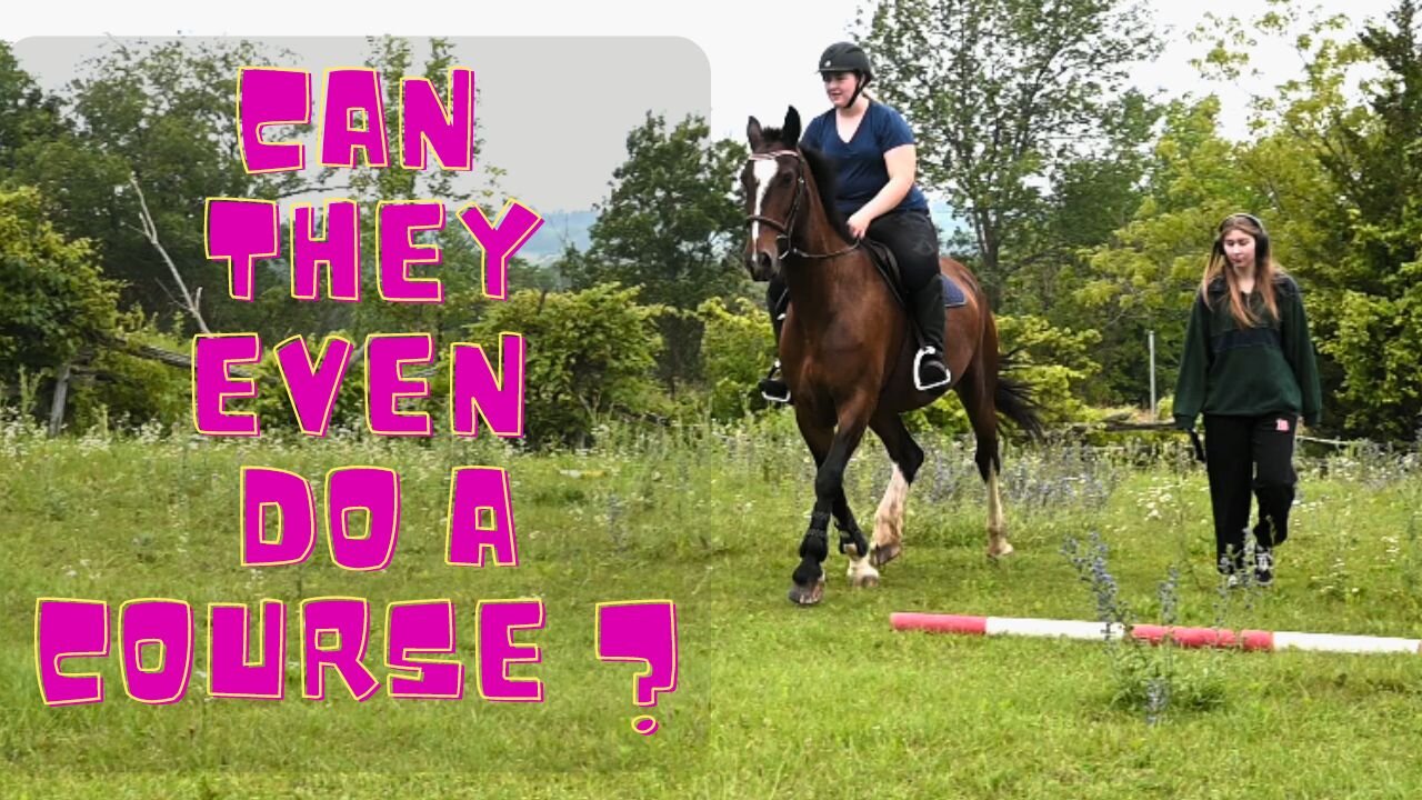 I'm Nervous About The Horse Show!